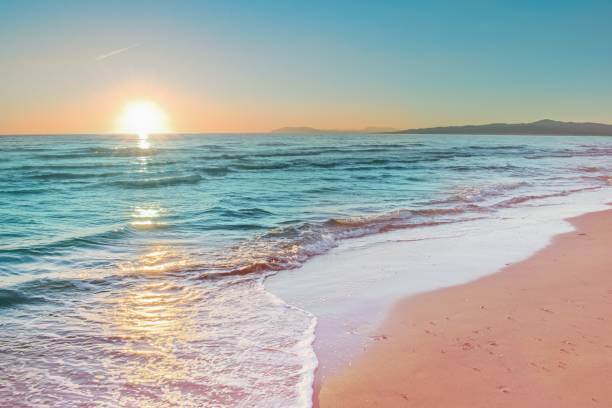 Nellore Beache
